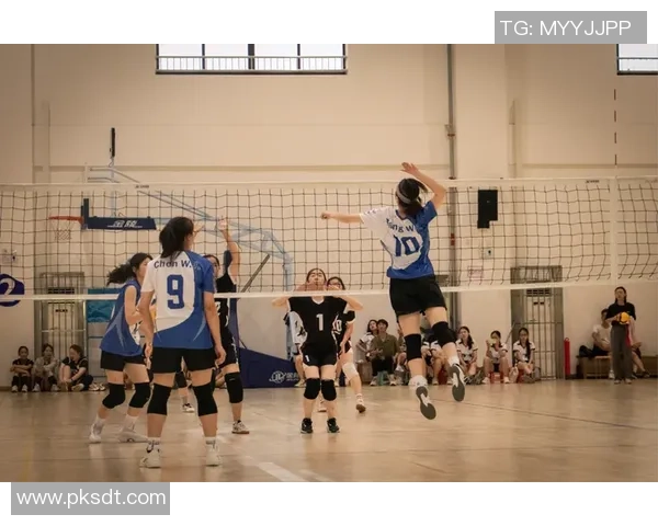 赛后复盘：杭州排球队 vs 南京排球队的耐力