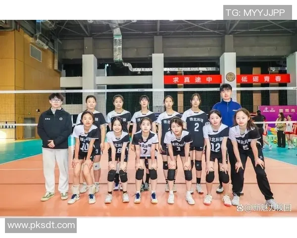 排球纪实：记录南京排球队的逆袭之旅_1